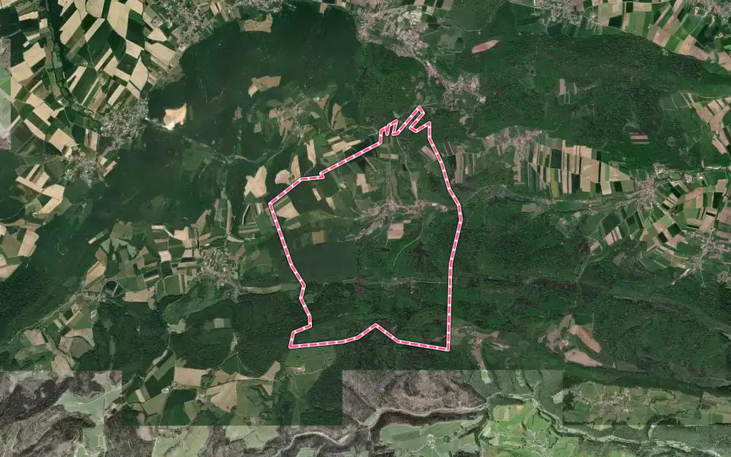 Vue satellite de Ligsdorf avec ses contours administratifs