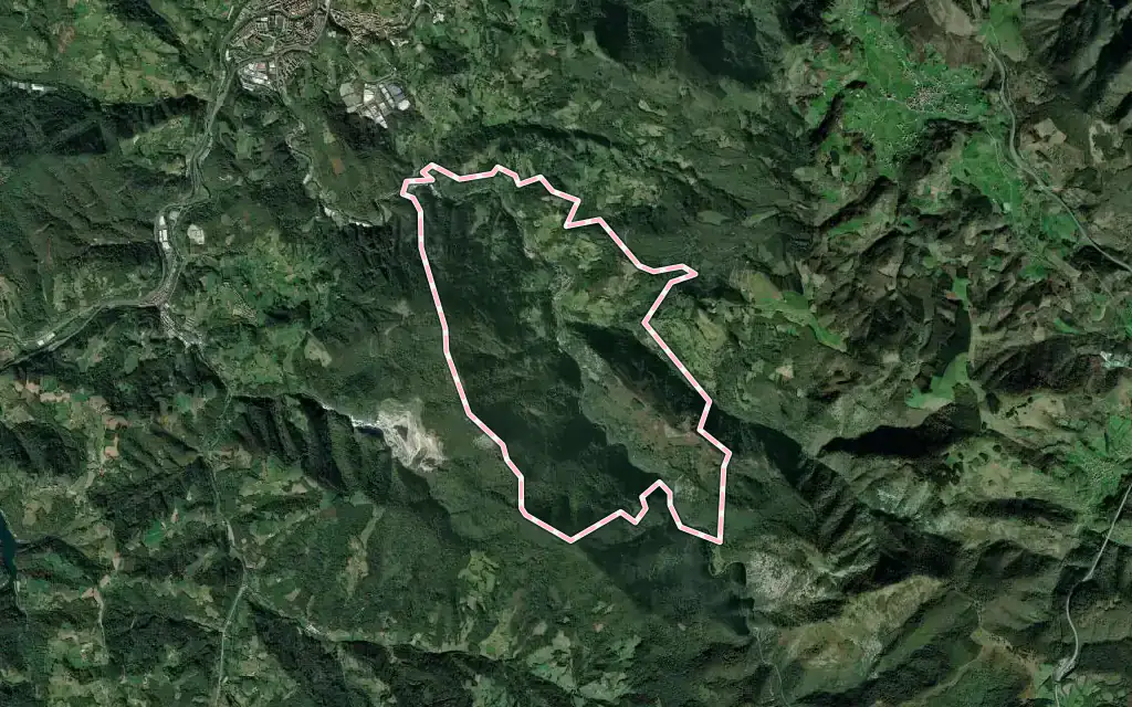 Vista satélite de Lizartza con su contorno administrativo