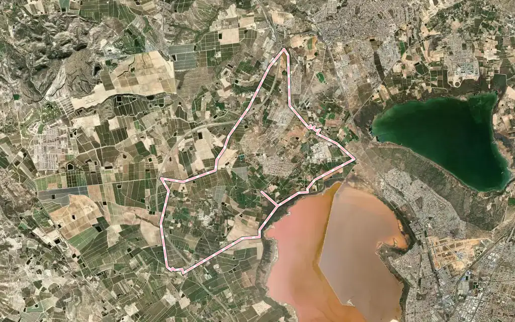 Vista satélite de Los Montesinos con su contorno administrativo