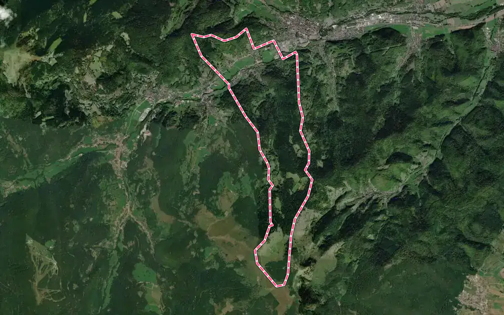 Vue satellite de Luttenbach-près-Munster avec ses contours administratifs