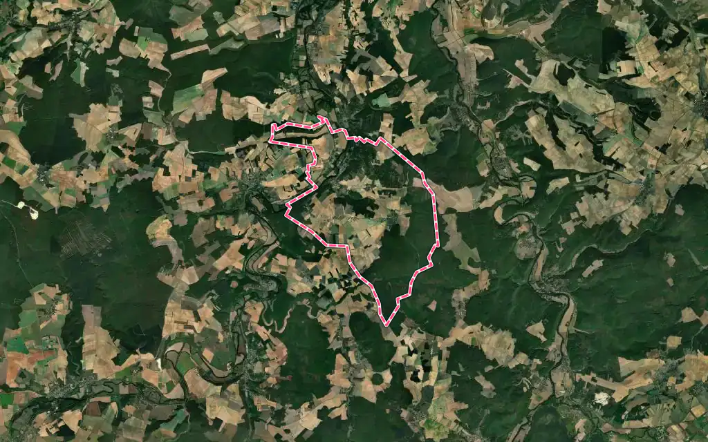 Vue satellite de Mailly-la-Ville avec ses contours administratifs