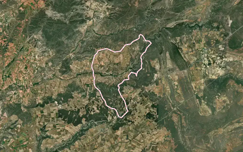 Vista satélite de Mandayona con su contorno administrativo
