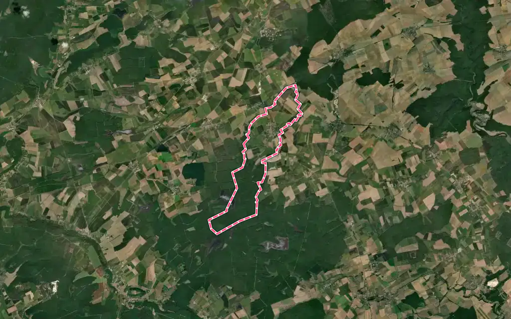 Vue satellite de Mandres-aux-Quatre-Tours avec ses contours administratifs