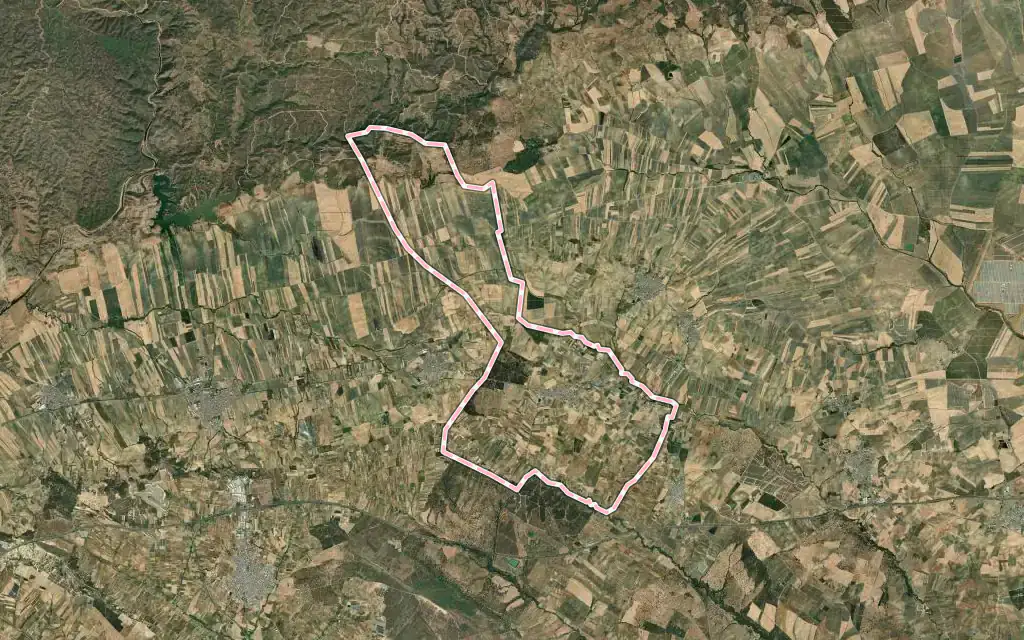 Vista satélite de Manzanilla con su contorno administrativo