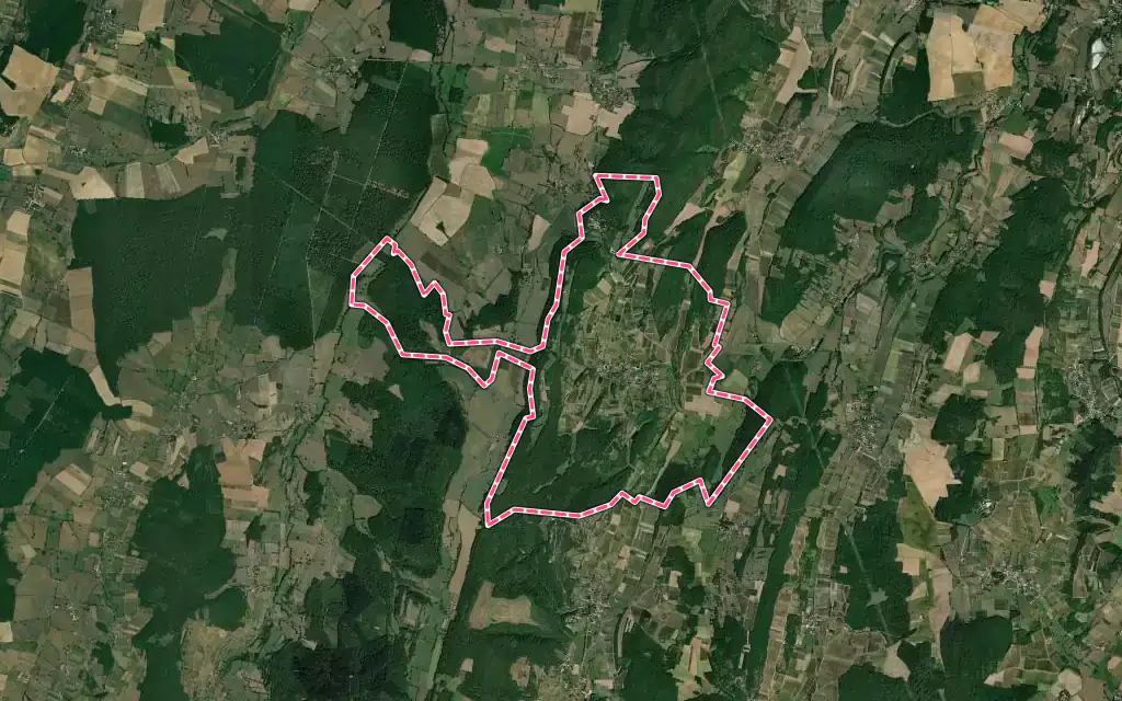 Vue satellite de Martailly-lès-Brancion avec ses contours administratifs