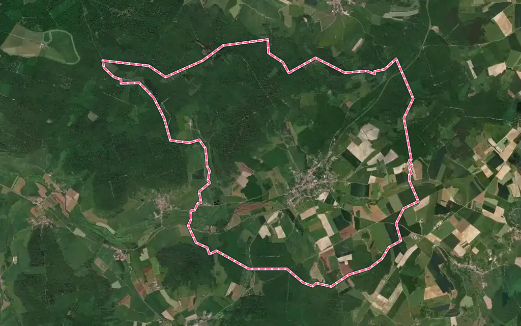 Vue satellite de Martigny-les-Bains avec ses contours administratifs