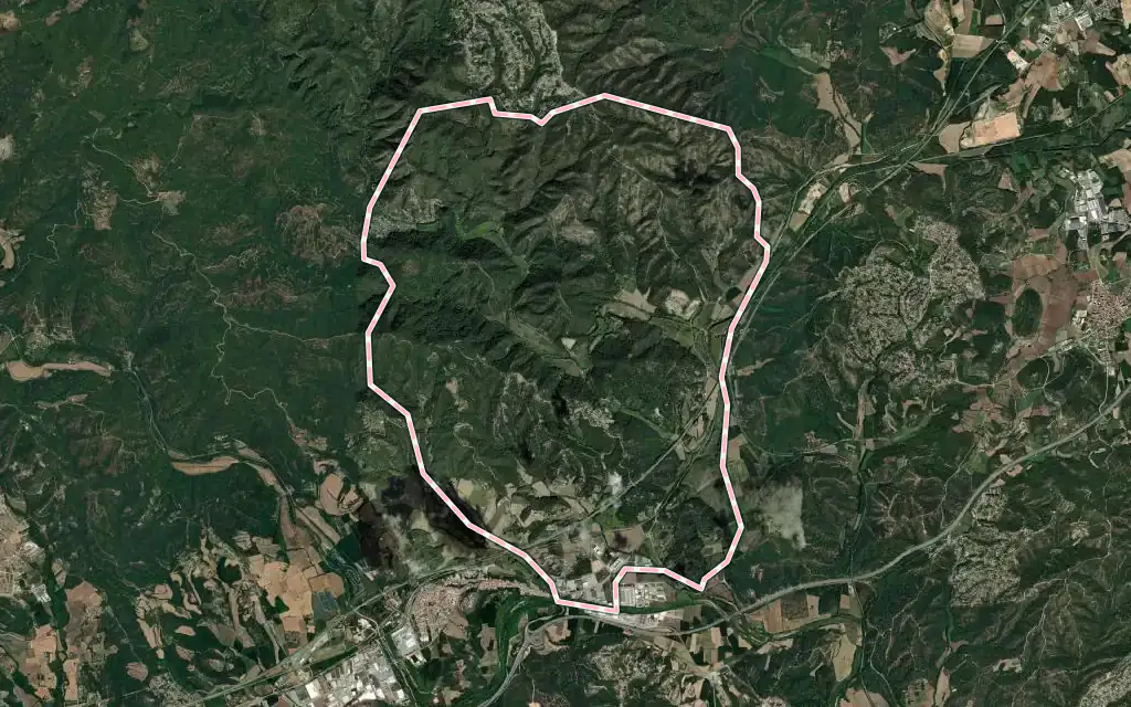 Vista satélite de Massanes con su contorno administrativo