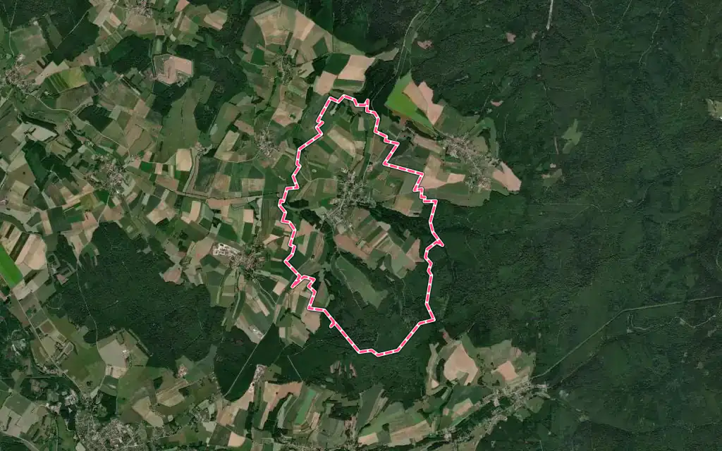 Vue satellite de Ménil-sur-Belvitte avec ses contours administratifs