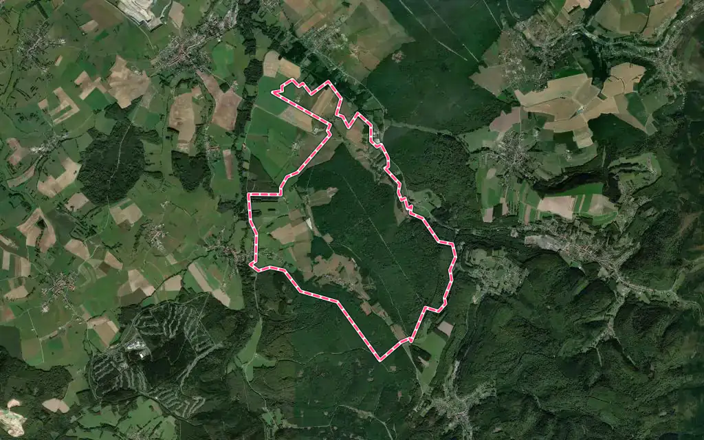Vue satellite de Métairies-Saint-Quirin avec ses contours administratifs
