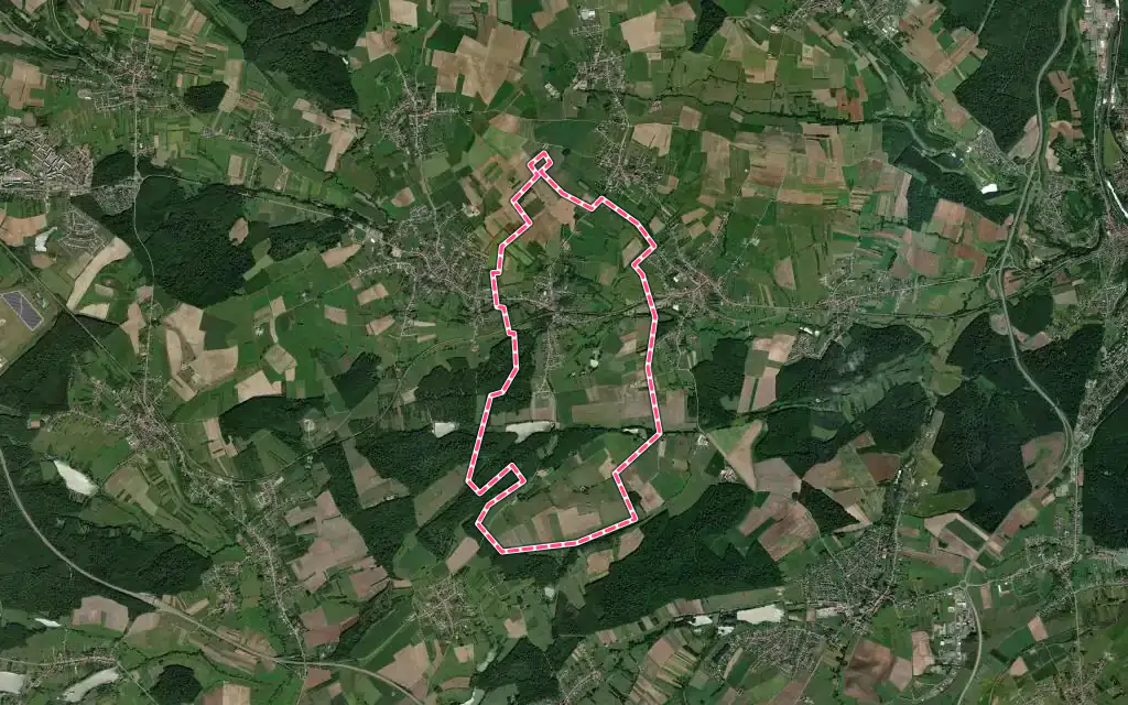 Vue satellite de Metzing avec ses contours administratifs