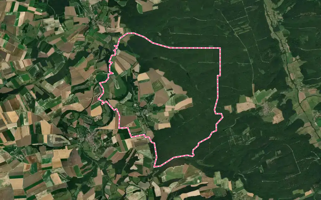 Vue satellite de Moiremont avec ses contours administratifs