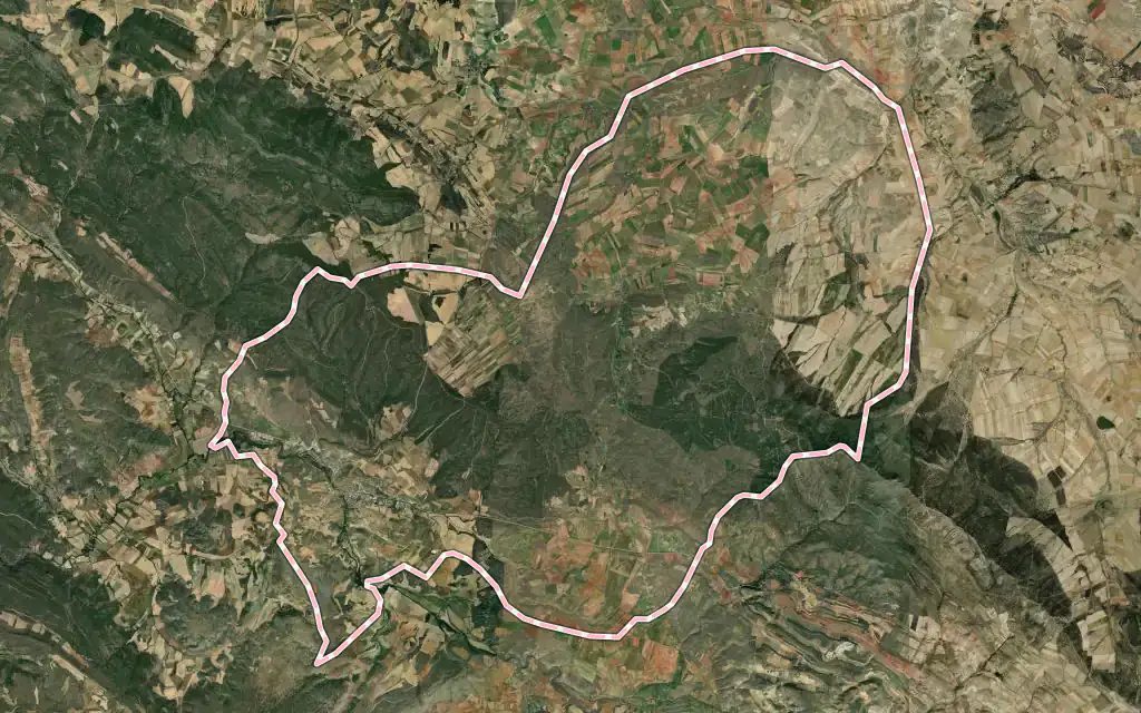 Vista satélite de Molina de Aragón con su contorno administrativo