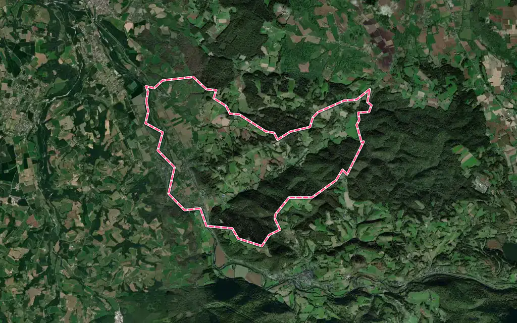 Vue satellite de Montaut avec ses contours administratifs