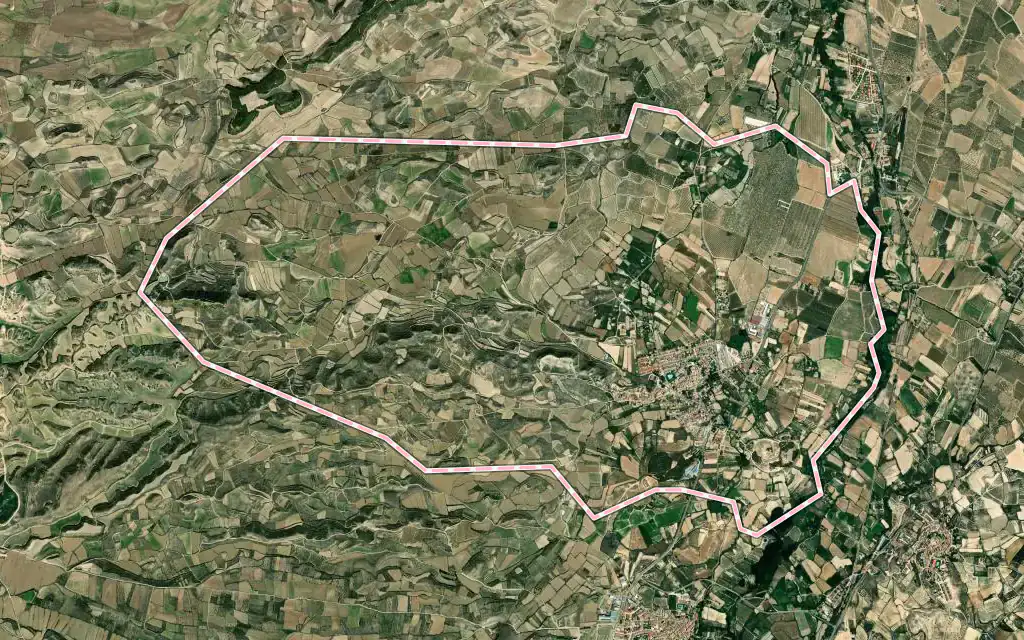 Vista satélite de Monteagudo con su contorno administrativo