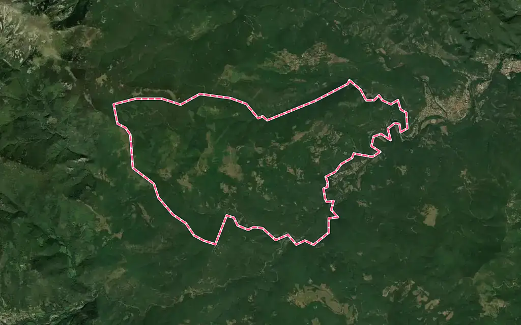 Vue satellite de Montferrer avec ses contours administratifs