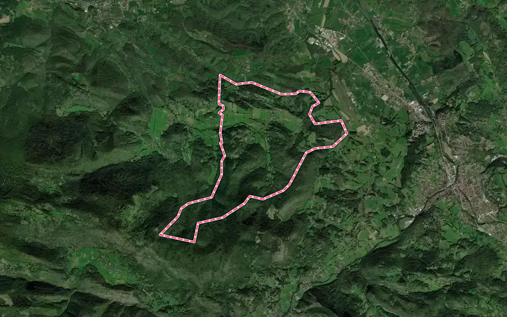 Vue satellite de Montgauch avec ses contours administratifs