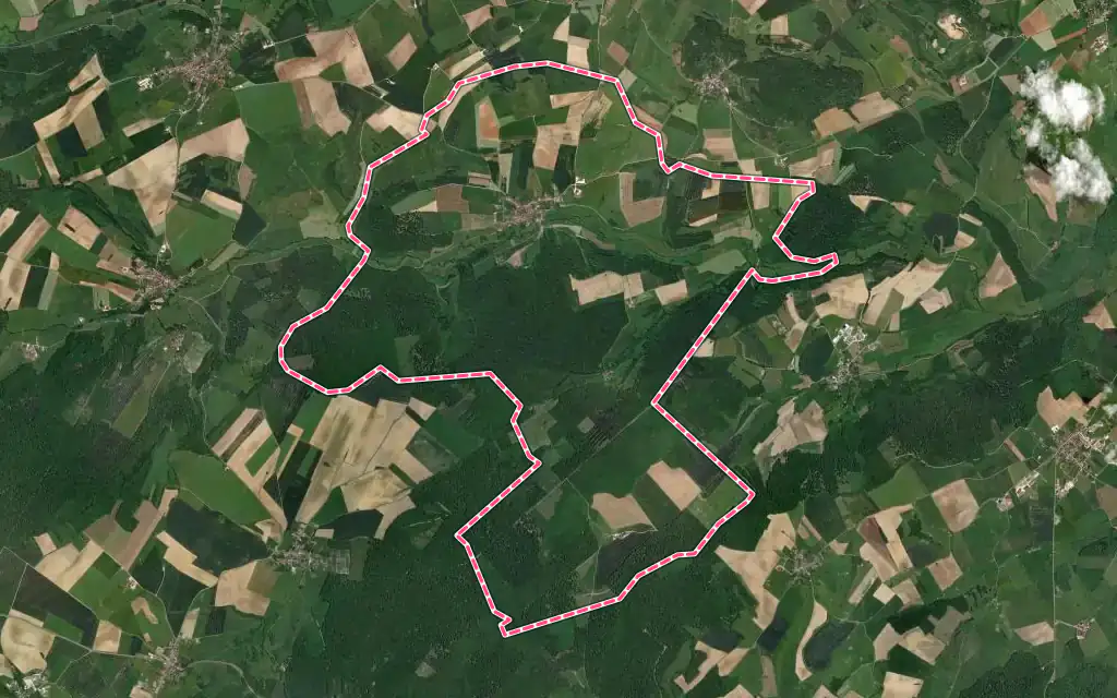 Vue satellite de Montigny-lès-Cherlieu avec ses contours administratifs