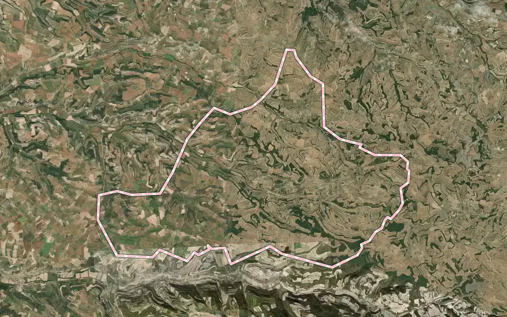Vista satélite de Montoliu de Segarra con su contorno administrativo