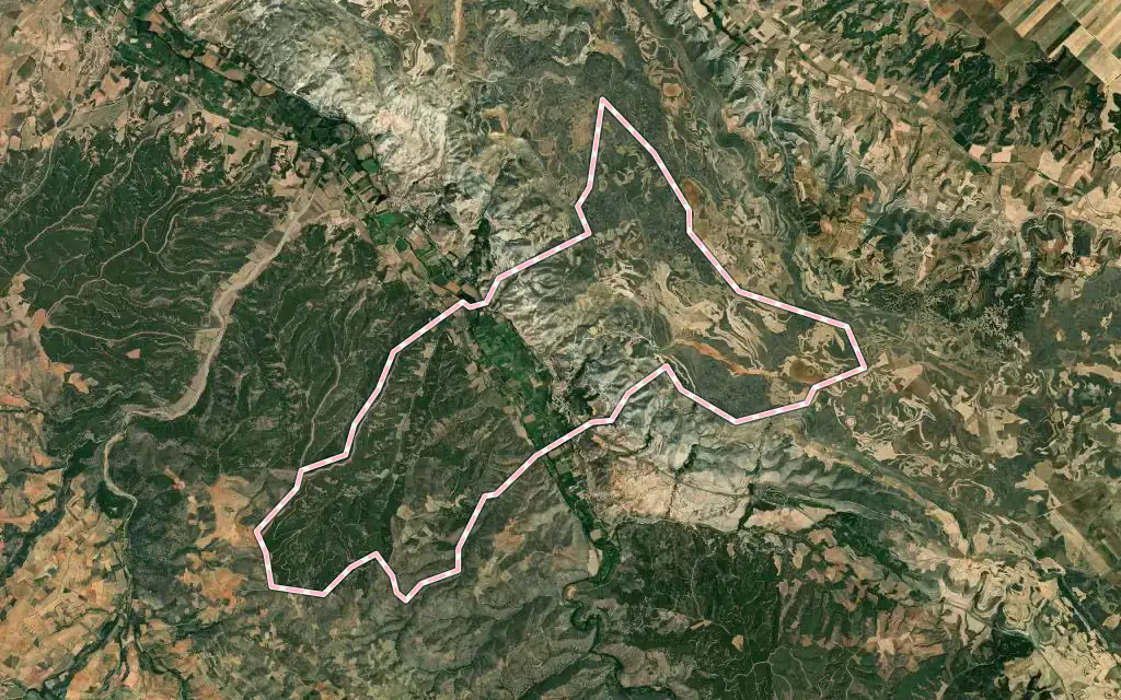 Vista satélite de Montón con su contorno administrativo