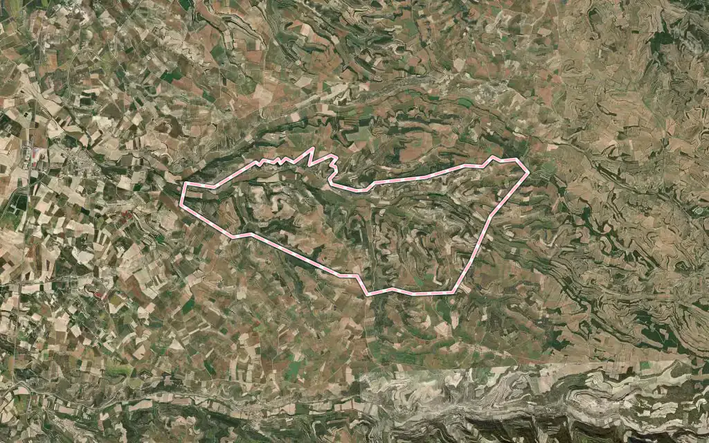 Vista satélite de Montornès de Segarra con su contorno administrativo