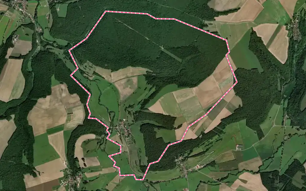 Vue satellite de Montot-sur-Rognon avec ses contours administratifs