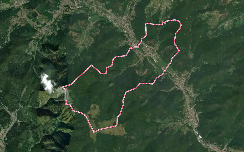 Vue satellite de Moosch avec ses contours administratifs