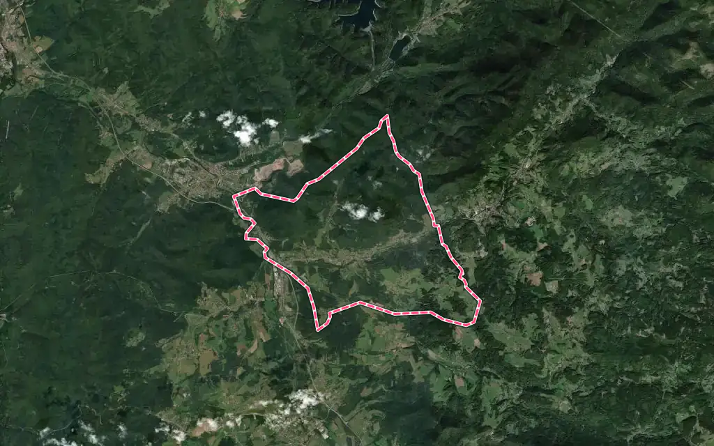 Vue satellite de Moyenmoutier avec ses contours administratifs