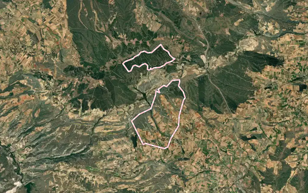 Vista satélite de Navares de Enmedio con su contorno administrativo