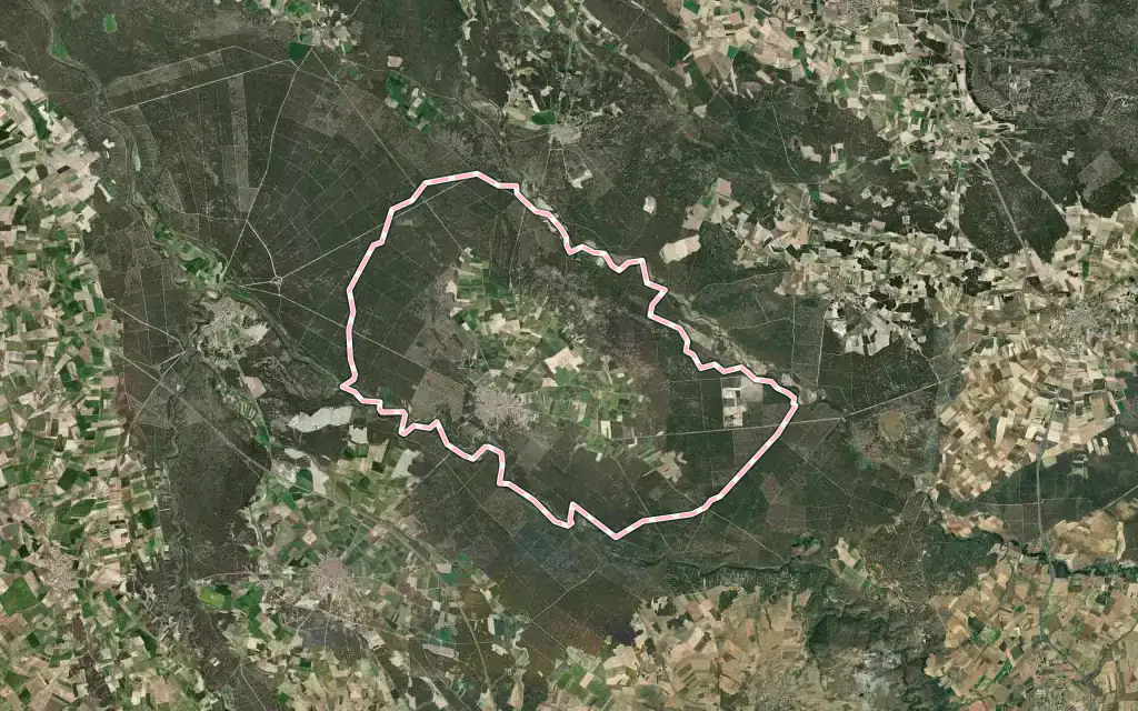 Vista satélite de Navas de Oro con su contorno administrativo