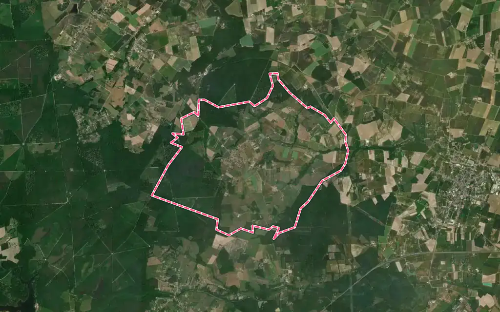 Vue satellite de Nesploy avec ses contours administratifs