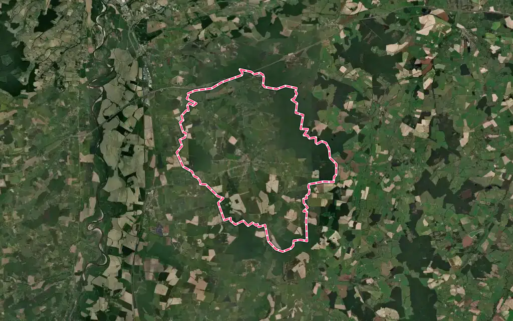Vue satellite de Neuilly-le-Réal avec ses contours administratifs