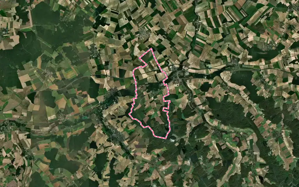 Vue satellite de Neuville-sur-Vanne avec ses contours administratifs
