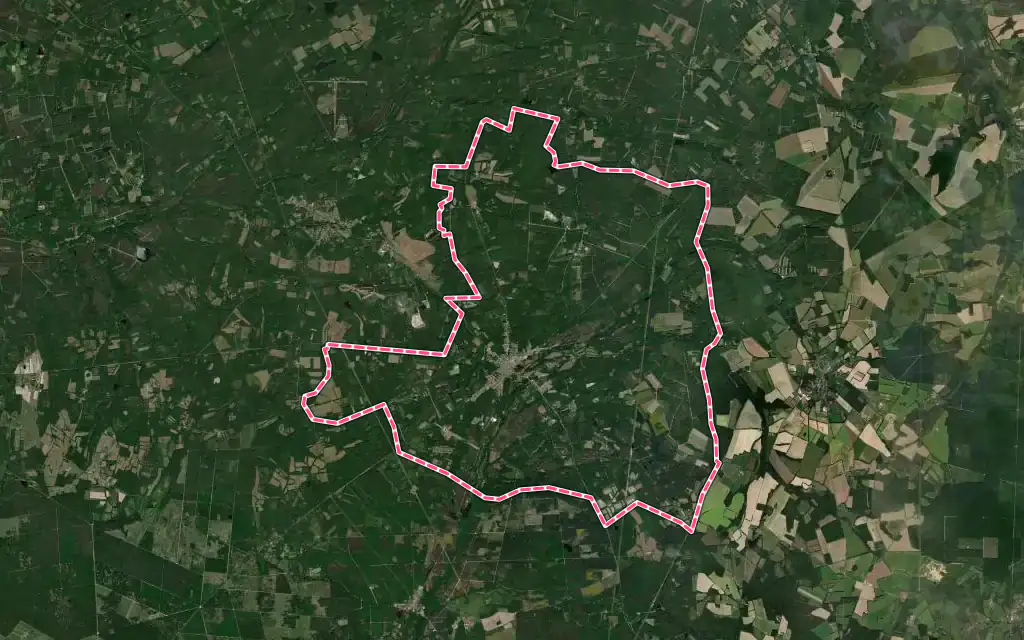 Vue satellite de Neuvy-sur-Barangeon avec ses contours administratifs