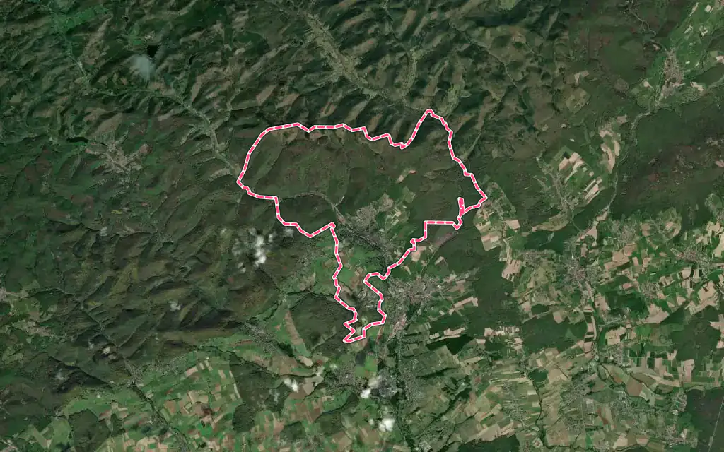 Vue satellite de Niederbronn-les-Bains avec ses contours administratifs
