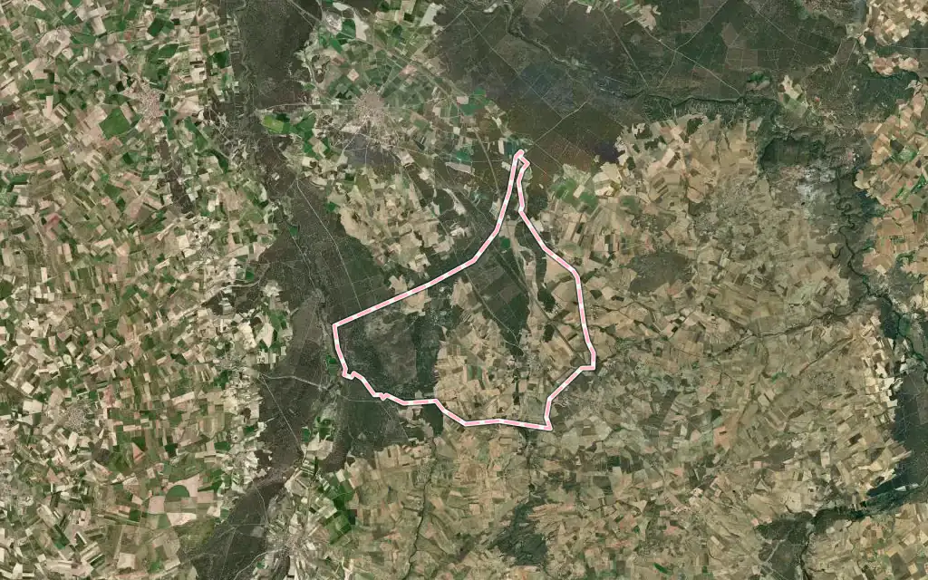 Vista satélite de Nieva con su contorno administrativo