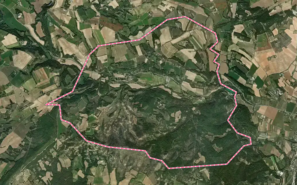 Vue satellite de Niozelles avec ses contours administratifs
