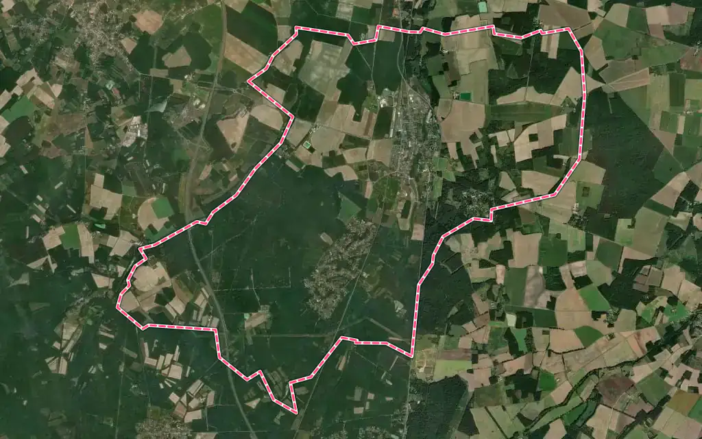 Vue satellite de Nogent-sur-Vernisson avec ses contours administratifs
