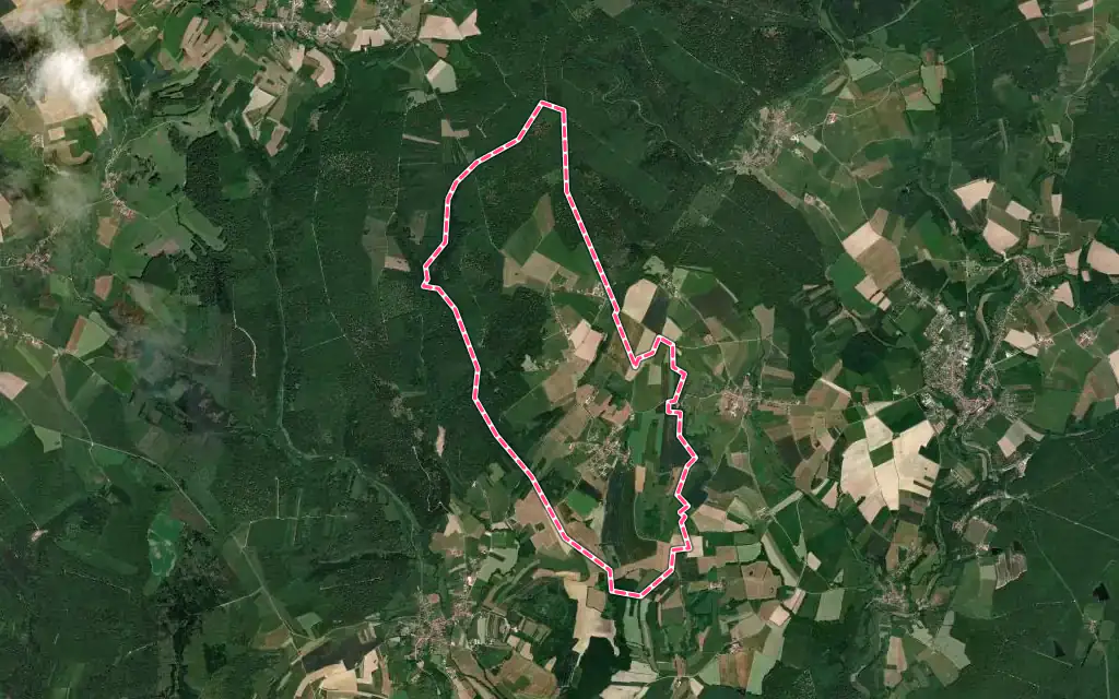 Vue satellite de Nonville avec ses contours administratifs