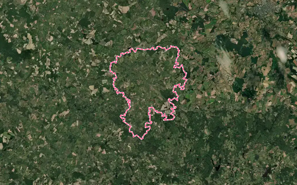 Vue satellite de Nouic avec ses contours administratifs