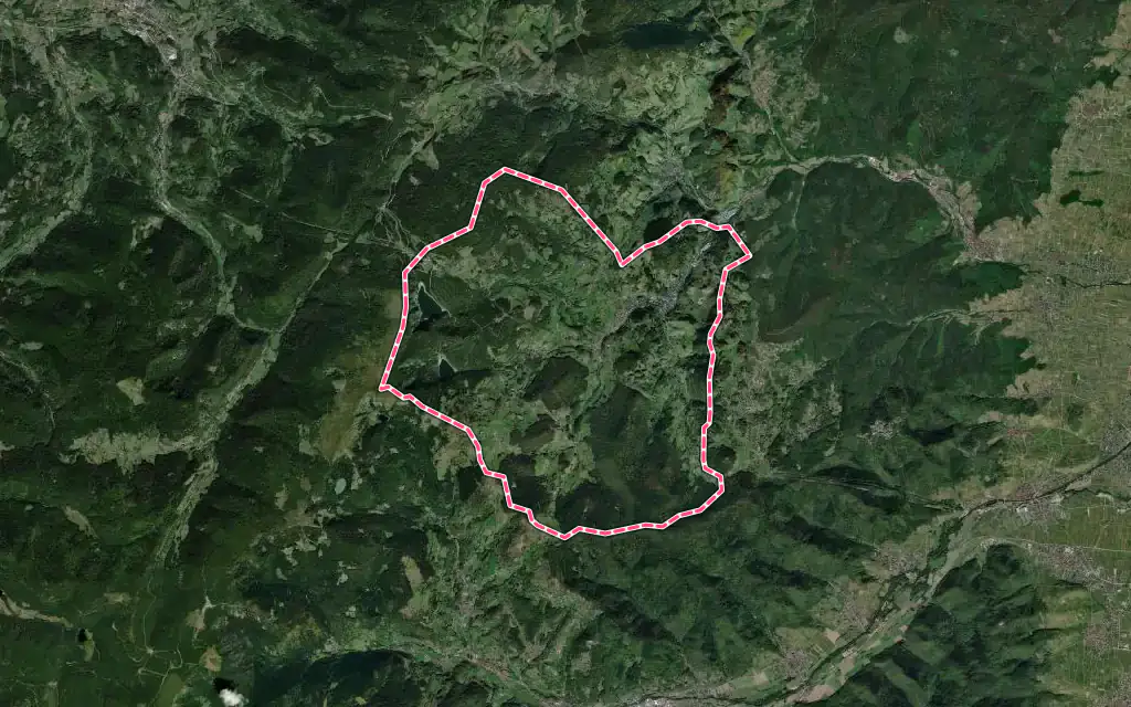 Vue satellite de Orbey avec ses contours administratifs