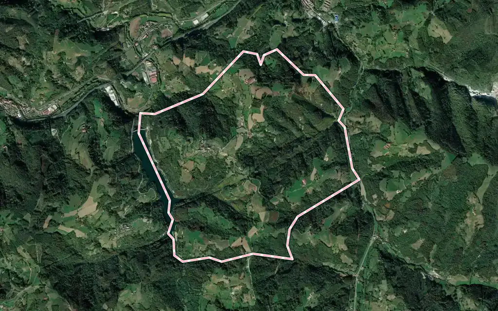 Vista satélite de Orendáin con su contorno administrativo