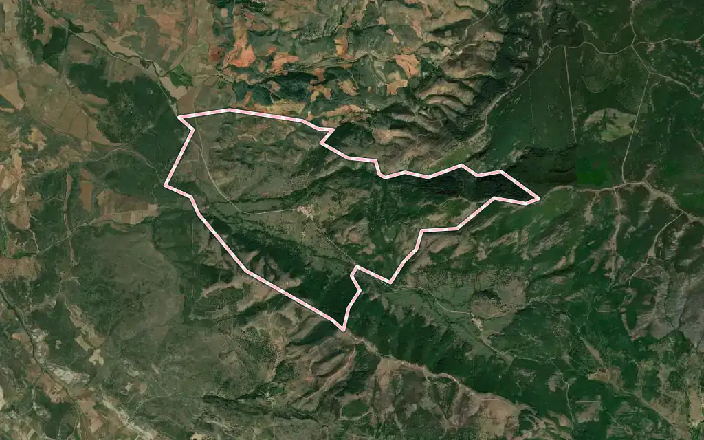 Vista satélite de Palazuelos de la Sierra con su contorno administrativo
