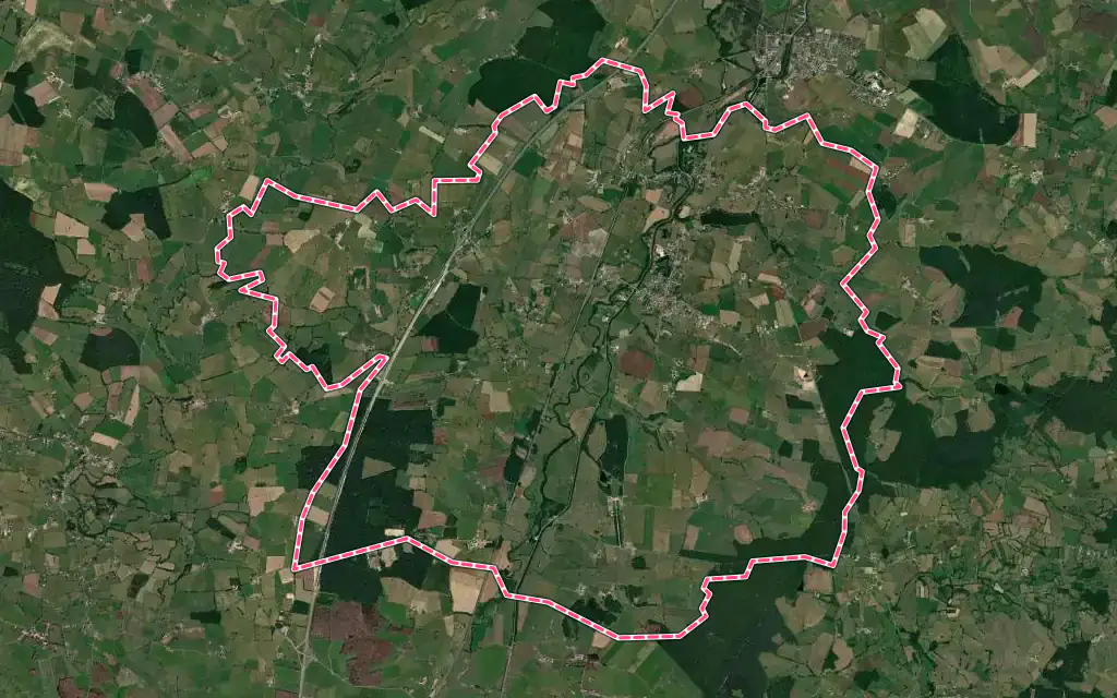 Vue satellite de Palinges avec ses contours administratifs