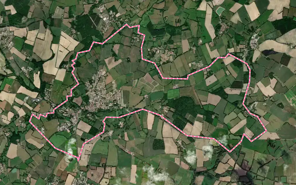 Vue satellite de Palluau avec ses contours administratifs