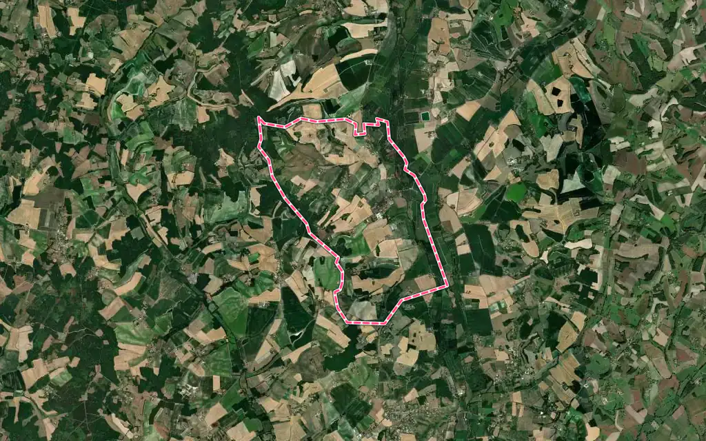 Vue satellite de Palluaud avec ses contours administratifs