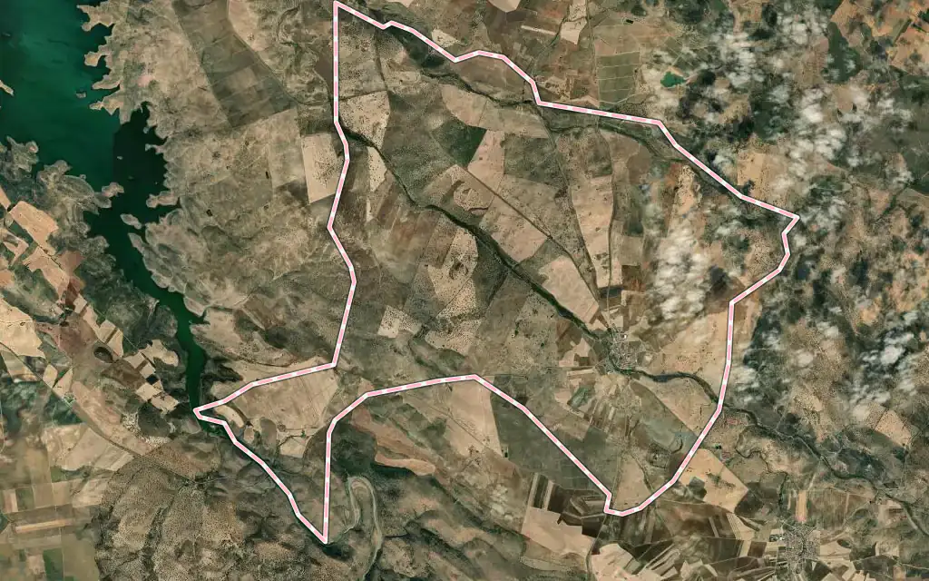 Vista satélite de Palomas con su contorno administrativo