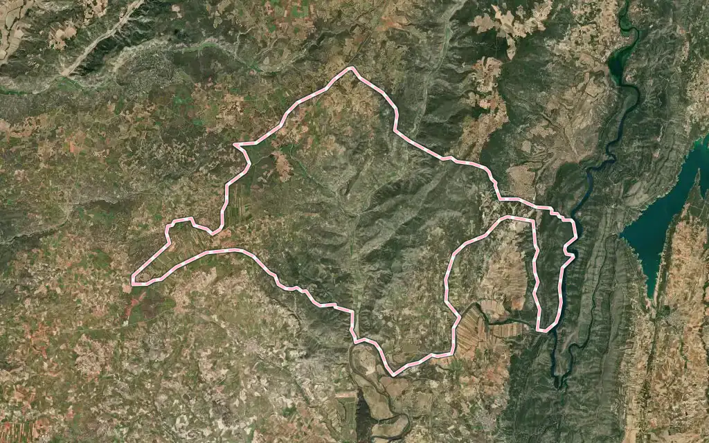 Vista satélite de Pastrana con su contorno administrativo