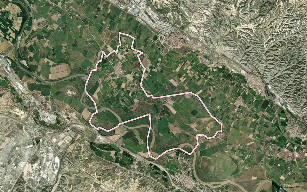 Vista satélite de Pastriz con su contorno administrativo