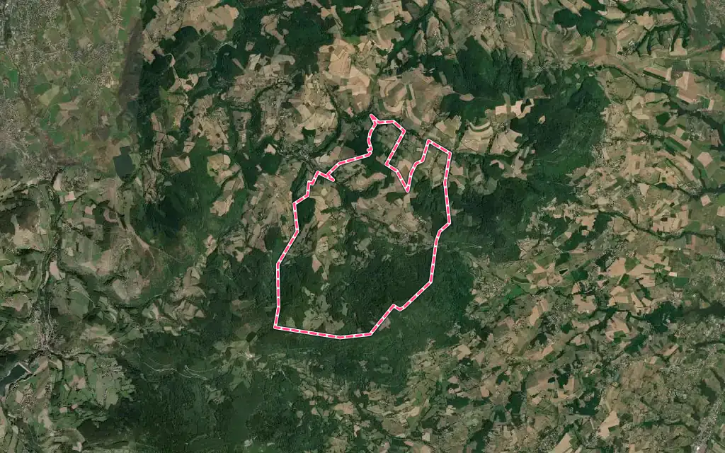 Vue satellite de Pavezin avec ses contours administratifs