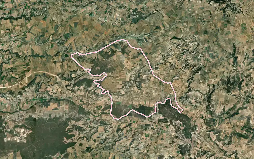 Vista satélite de Pesquera de Duero con su contorno administrativo
